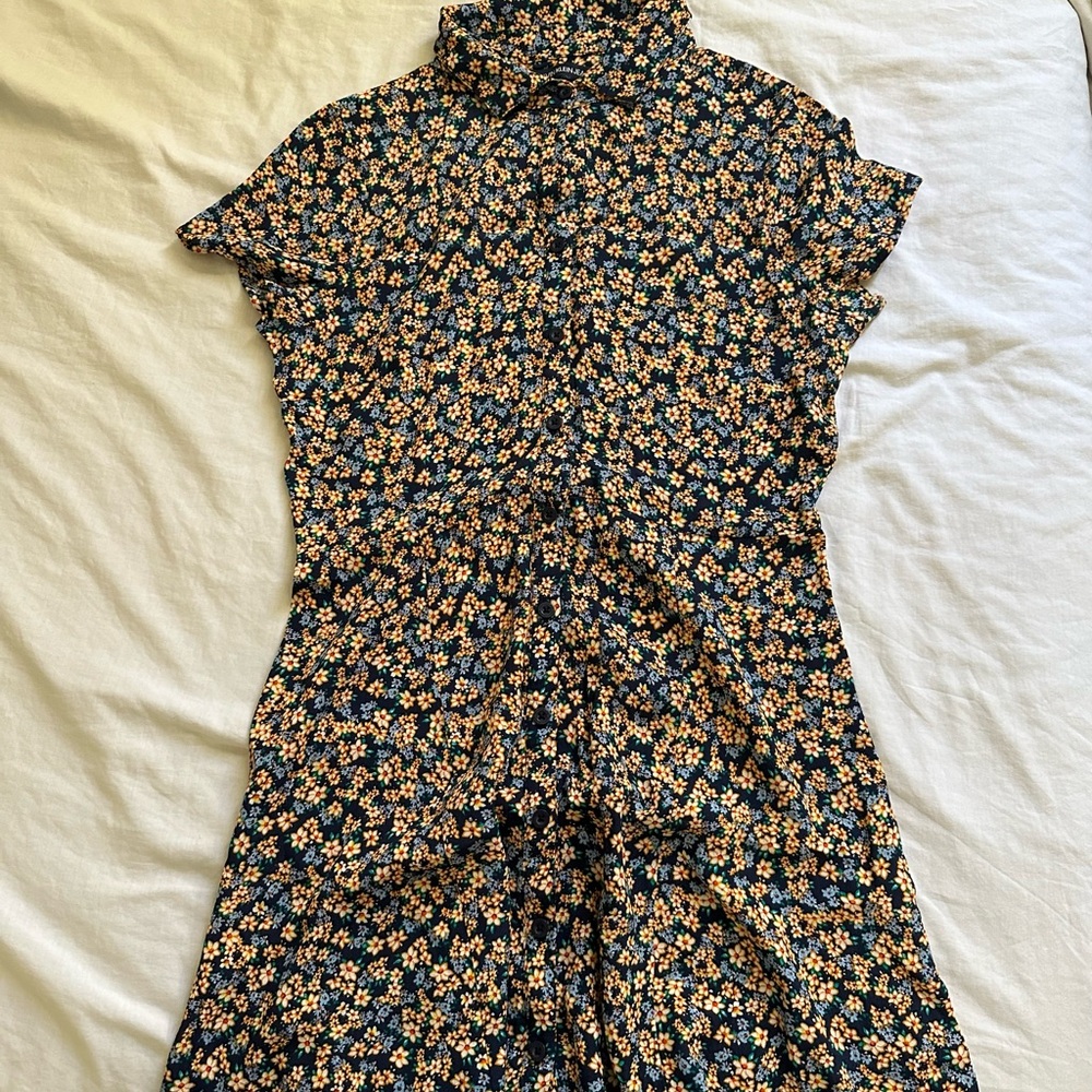 Collard shirtdress